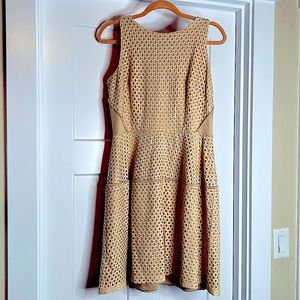 DB Gold/beige with gold zipper dress- Lace look -Size 12